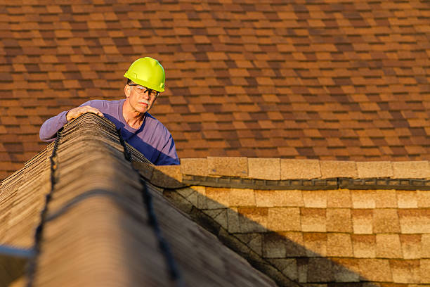 Best Roof Inspection Near Me  in Grant Park, IL